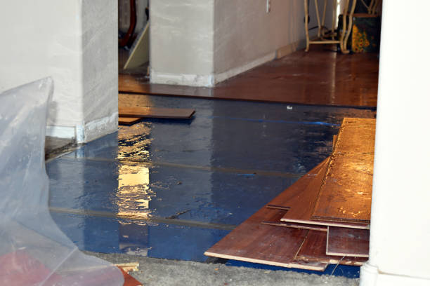 Professional Burst Pipe Cleanup technician working in Ochopee, FL